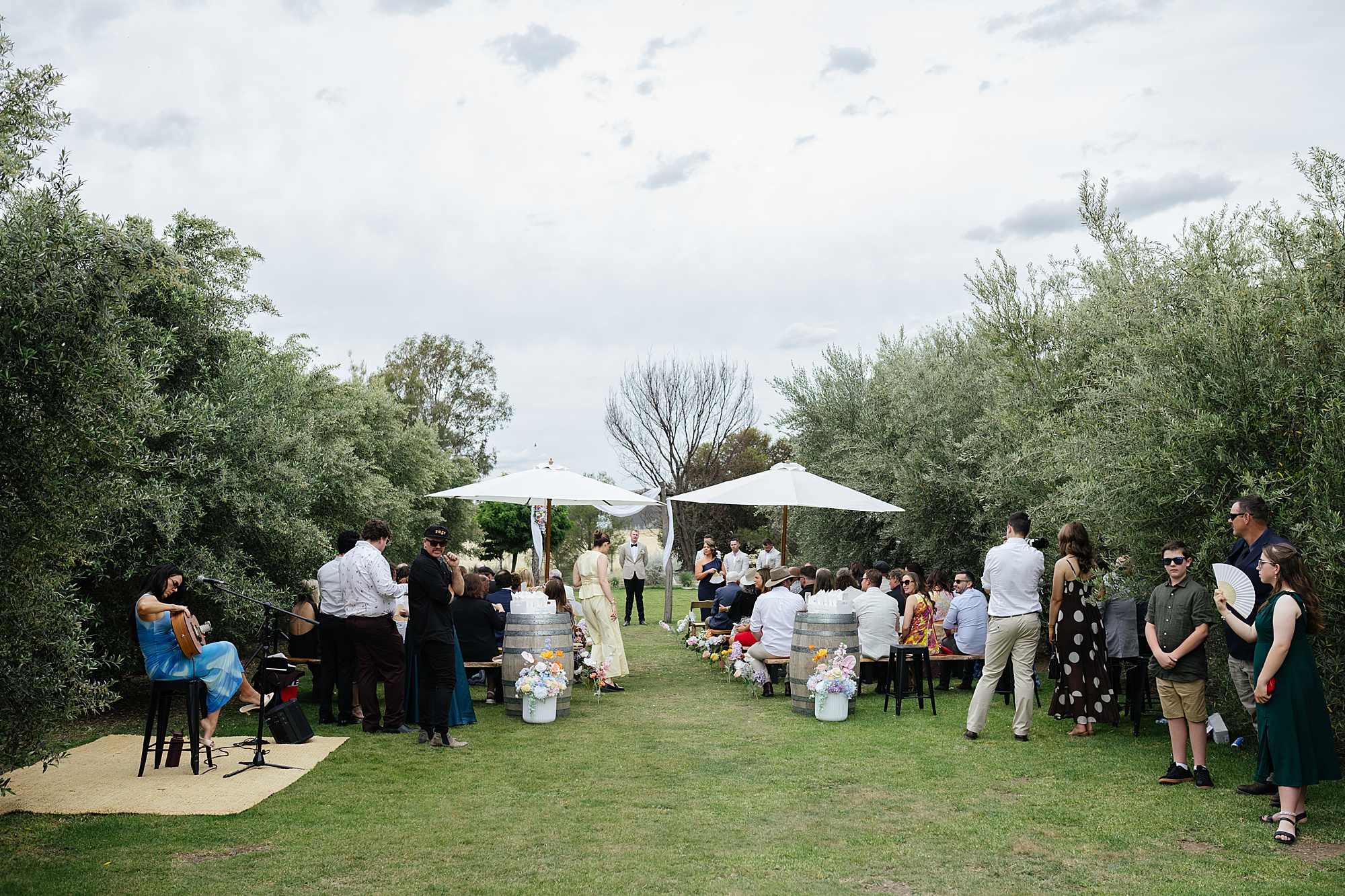 Outdoor wedding ceremony between Olive trees.