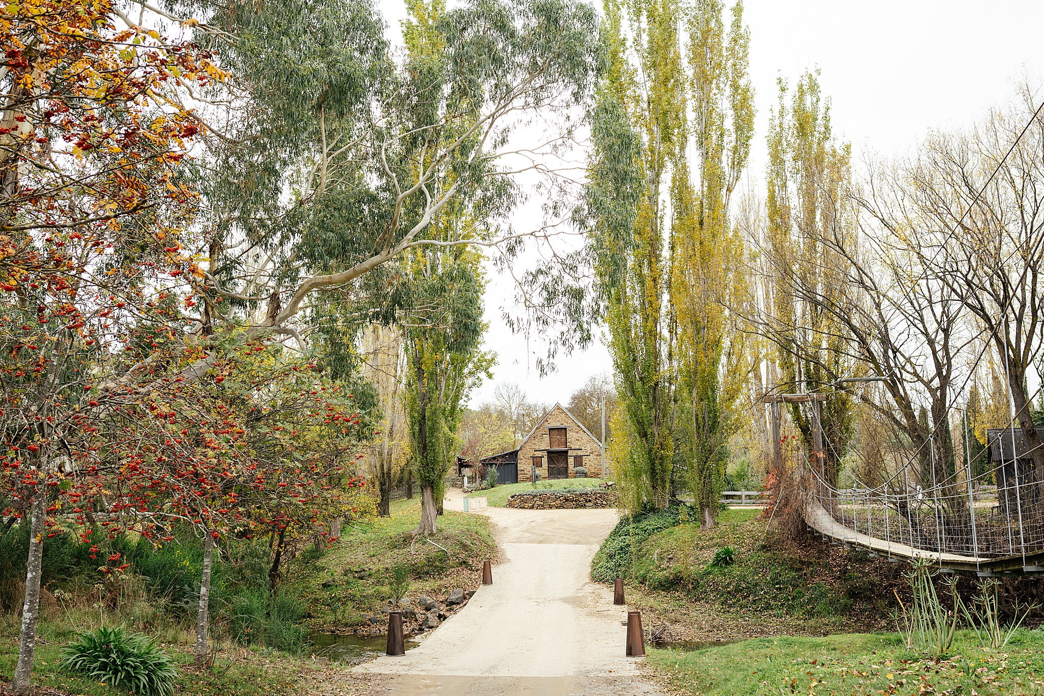Tree-lined pathway at a wedding venue with intersecting gravel paths surrounded by greenery and natural landscape.
