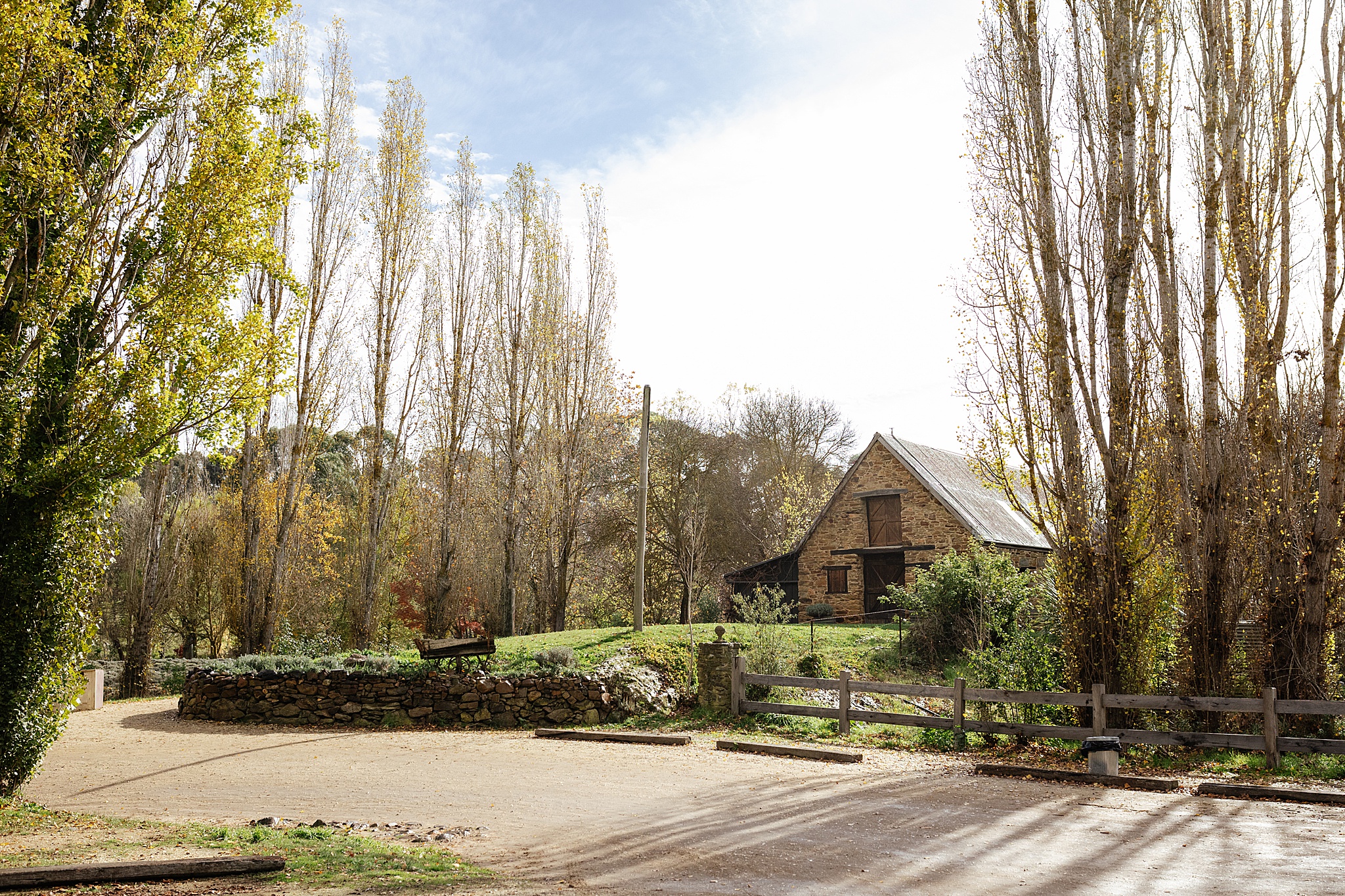 Landscape image of Lavandula farm.