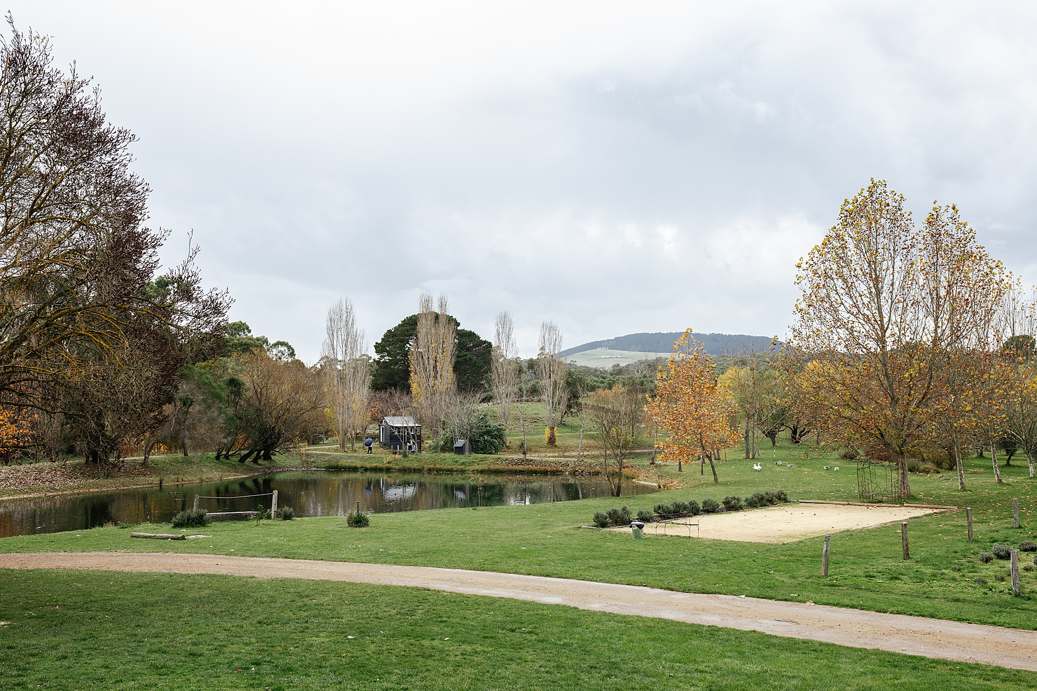 Landscape picture of Lavandula wedding venue in Victoria.