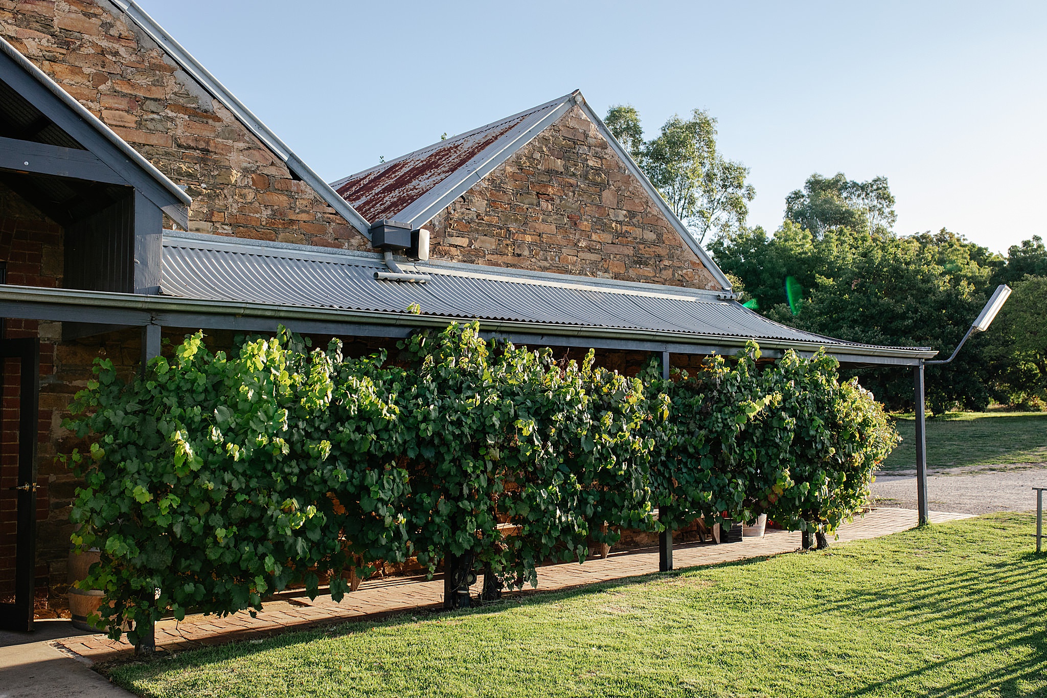 Vineyard with sandstone building