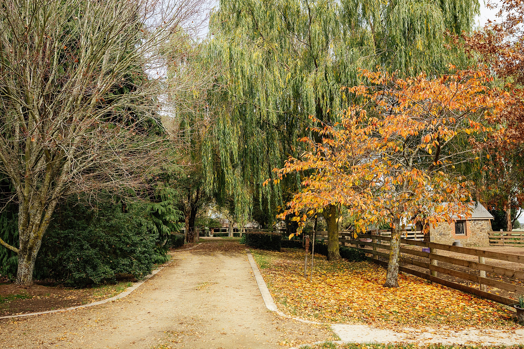A charming pathway winds through beautiful autumn and winter hues of orange and green, creating a romantic setting at this picturesque stables wedding venue.
