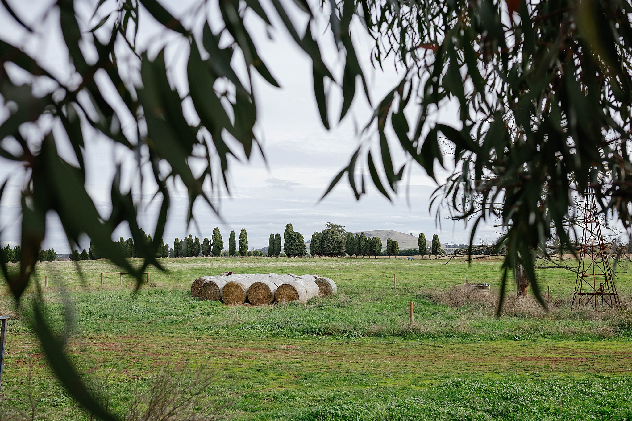 Hay bales resting in a green paddock, framed by trees at a countryside stables venue.