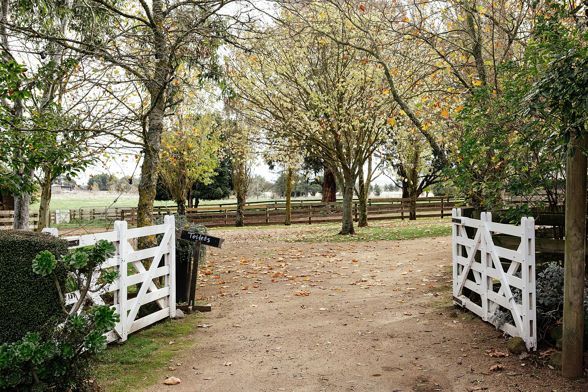 Elegant white double gates surrounded by autumn foliage.