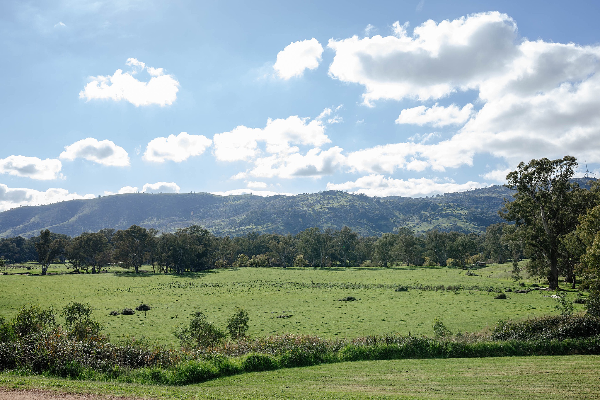 Mountain ranges with clouds at Trawool Estate.
